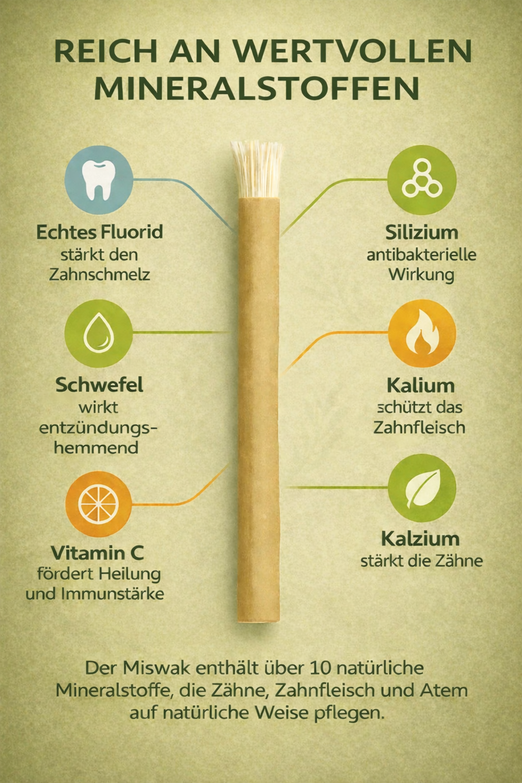 Miswak Zahnbürste