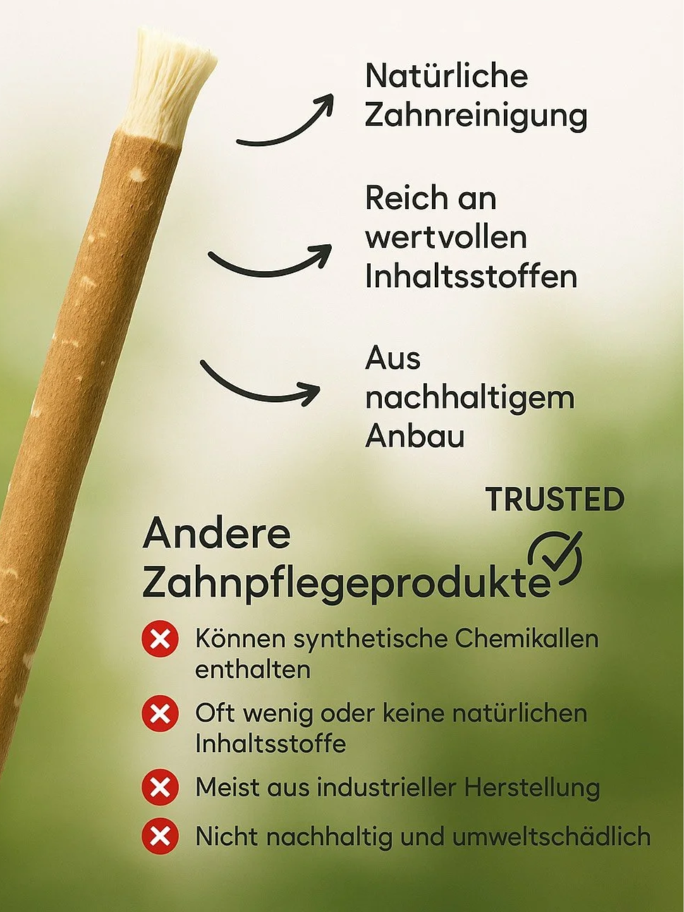 Miswak Zahnbürste